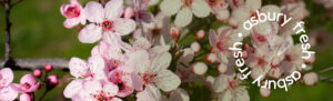 Flowers Banner with the Asbury Fresh logo superimposed on top